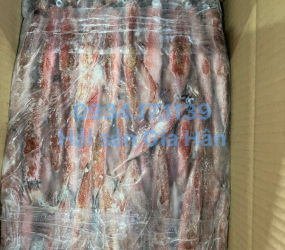 Mực ghim A size 12up đông lock