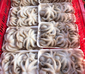 Bạch tuộc làm  sạch ra khay