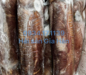 Mực lá câu size 500g