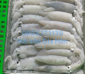 Mực ống lẩu nướng 7-9cm