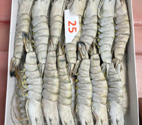 Tôm sú tươi sống cấp đông nguyên con