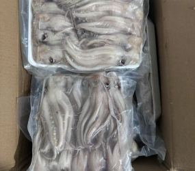 Đầu mực nét đủ