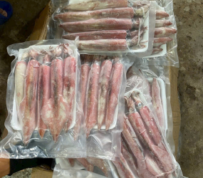 Mực ghim nháy 15up