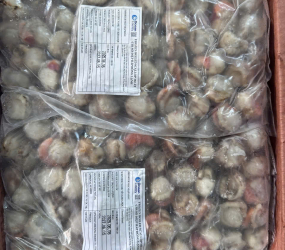 Cồi điệp hấp 60/80