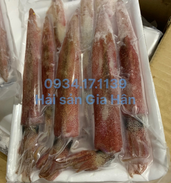 Mực ghim A size 12up ra khay