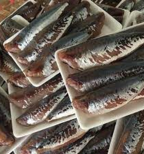 Cá nục 1 nắng