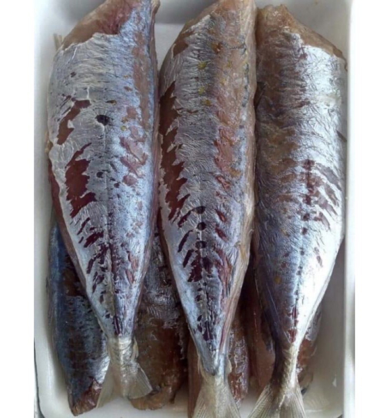 Cá nục 1 nắng