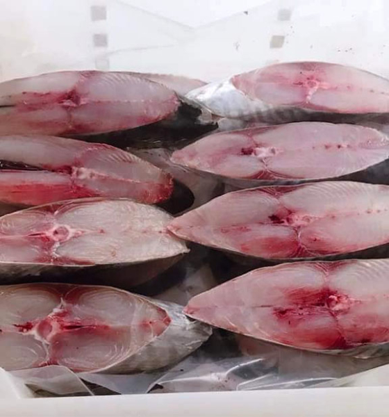 Cá thu phấn cắt khúc