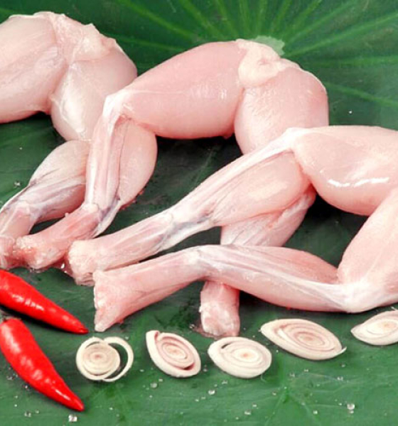Đùi ếch