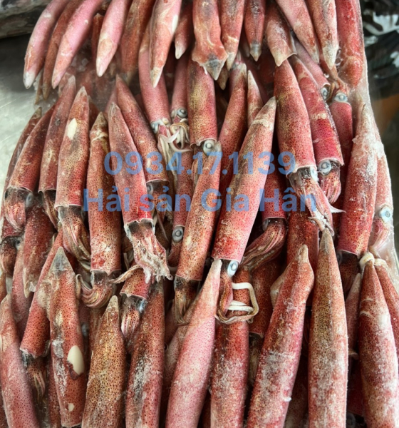 Mực ghim A size 9-12cm hàng Lock