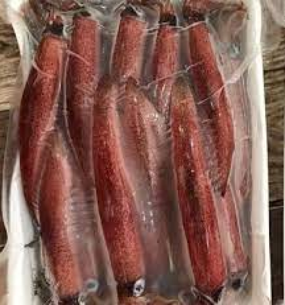 Mực ghim A size 9-12cm ra khay