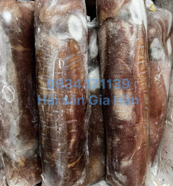 Mực lá câu size 500g