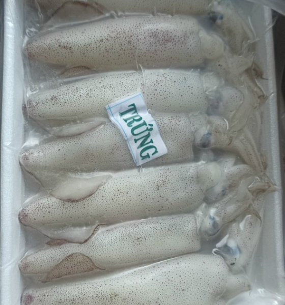 Mực trứng xôi