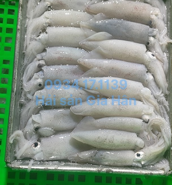 Mực ống lẩu nướng 7-9cm