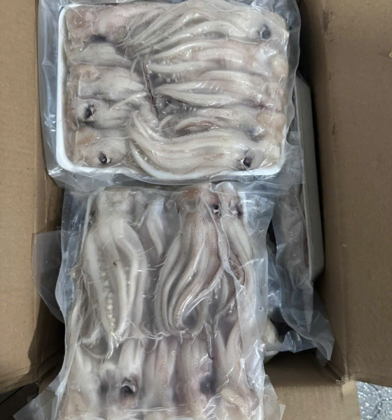 Đầu mực nét đủ