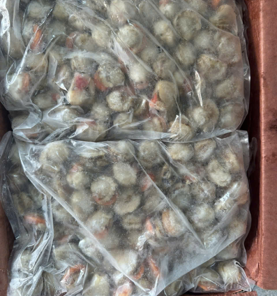 Cồi điệp hấp 60/80