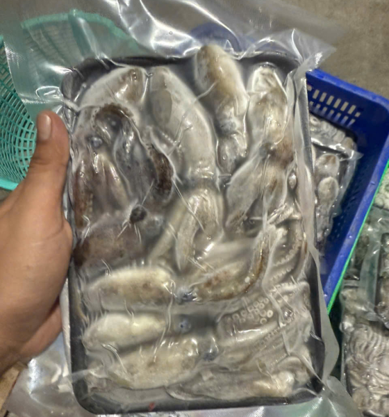 Đầu mực nét đủ