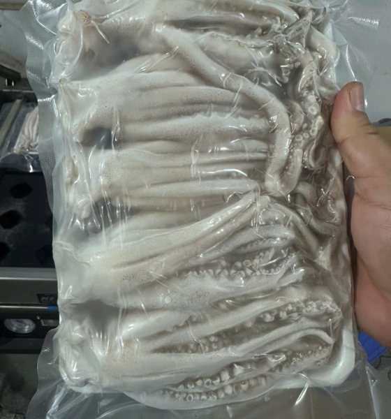Đầu mực nét đủ